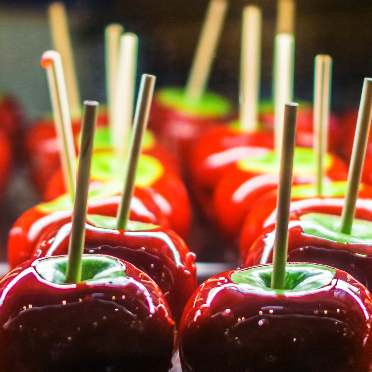 Schaustellerbetrieb Erni & Renat Fichna, Dortmund - Gastronomie mit den Bereichen Imbiss, Süßwaren, Gebrannte Mandeln und Fischspezialitäten. Lizenzfrei: Foto von Derrick Brooks auf Unsplash.com